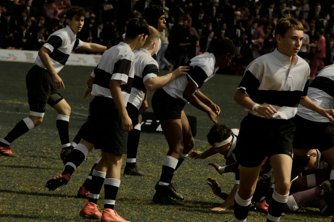 Joueurs de rugby pendant un match